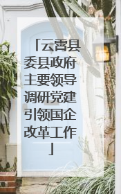 云霄县委县政府主要领导调研党建引领国企改革工作